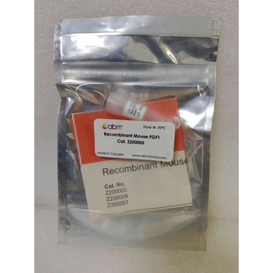 Recombinate Mouse FGF1 50ug