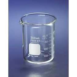 BEAKER LOW FORM 250 ML