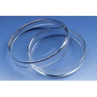 Petri Dish Glass 80 x 15,
