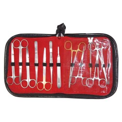 Disseting Set Disseting Set