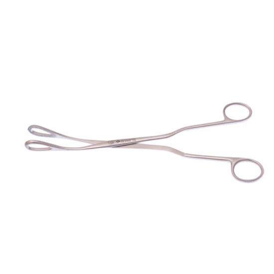 J-20-398  MC Clintock Ovum 24c