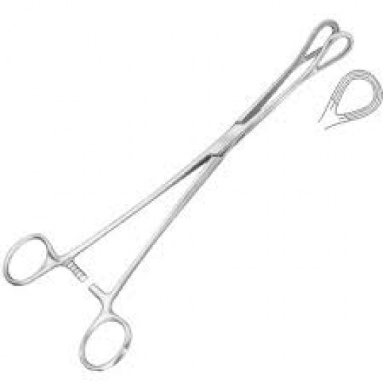 Ovum Forceps 10