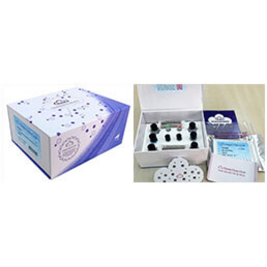 Elisa Kit for Insulin (INS) 96 Test