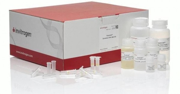 PureLink™ Genomic DNA Mini Kit