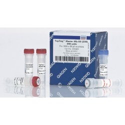 TopTaq Master Mix Kit  250 reactions