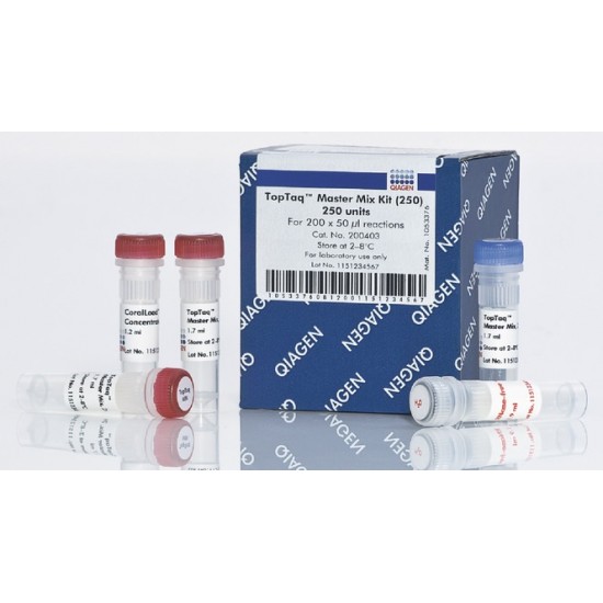 TopTaq Master Mix Kit 250 reactions TopTaq Master Mix Kit 250 reactions