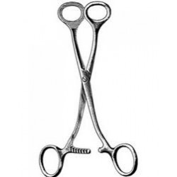 Collin Tongue Holding Forcep Length = 19 cm / 7- 1/2 Collin Tongue Holding Forcep Length = 19 cm / 7- 1/2