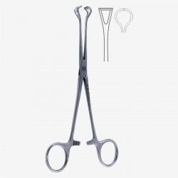Babcock Tissue Forcep Babcock Tissue Forcep