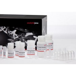 smart Blood DNA Midi prep (a96) - FX