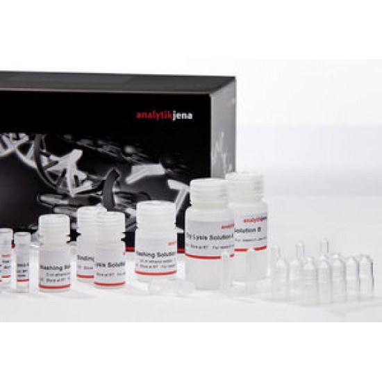 smart Blood DNA Midi, prep (a96) - FX 5 x 96 reactions smart Blood DNA Midi, prep (a96) - FX 5 x 96 reactions