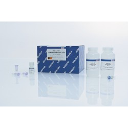 QIAquick PCR Purification Kit (250)