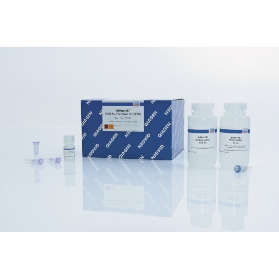 QIAquick PCR Purification Kit (250)