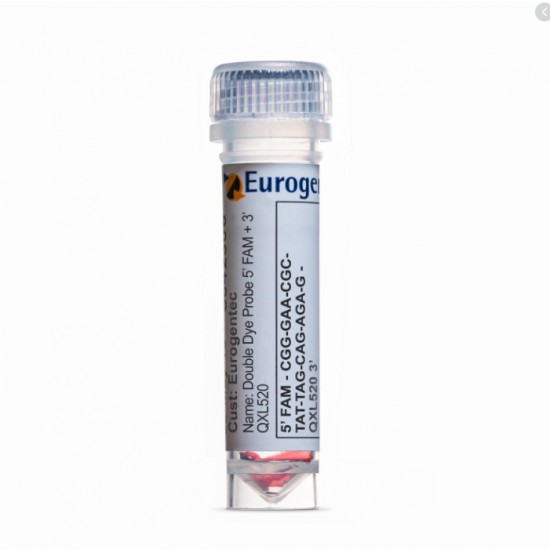 HPLC purification 5\'FAM HPLC purification 5\'FAM
