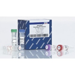 QIAGEN OneStep RT-PCR Kit