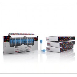 DTT (Dithiothreitol), No-Weigh™ Format DTT (Dithiothreitol), No-Weigh™ Format