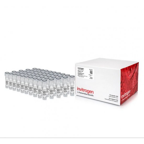 RNAlater™ Stabilization Solution 50 x 1.5 mL RNAlater™ Stabilization Solution 50 x 1.5 mL