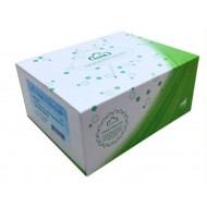 ELISA Kit for Succinate Dehydrogenase Complex Subunit C (SDHC) mouse