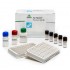 Total Aflatoxin ELISA Kit  Size: 96 tests