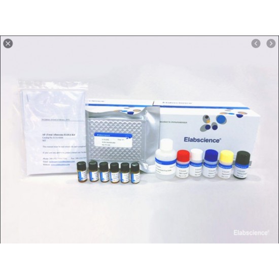 Ochratoxin A (OTA) ELISA Kit - Size 96 tests Ochratoxin A (OTA) ELISA Kit - Size 96 tests