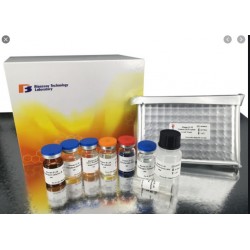 Cortisol ELISA Kit  96 tests