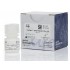 BlasTaq 2X qPCR MasterMix  500 rxn (4 x 1.25 ml)