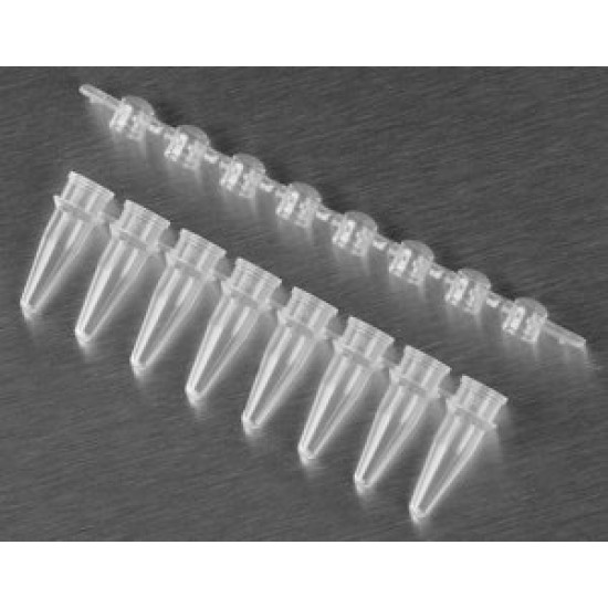Microtubes size 0.6 mL, clear, pkg of 10x500tubes/cs, sterile, 1000/PK Microtubes size 0.6 mL, clear, pkg of 10x500tubes/cs, sterile, 1000/PK