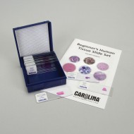 Beginner's Human Tissue Microscope Slide Set (15 Set)