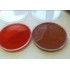 Blood Agar - Chocolate Agar