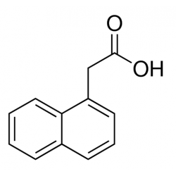 1-Naphthalene Acetic Acid