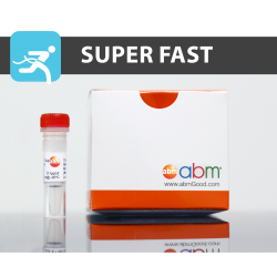 2X Blastaq™ PCR Taq MasterMix 10.0 ml (800 Rxns) 2X Blastaq™ PCR Taq MasterMix 10.0 ml (800 Rxns)