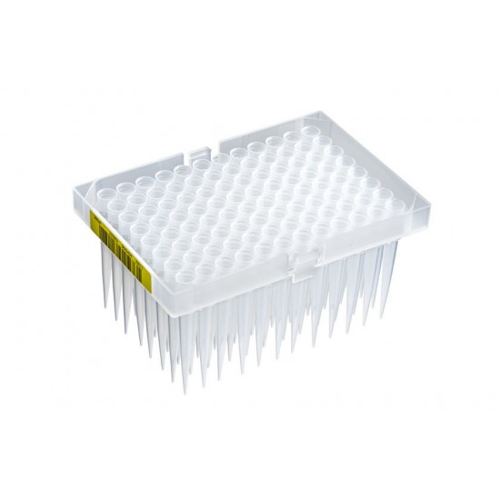 300 μL Clear Sterile Filter Tips, 5760 Tips Per Case 300 μL Clear Sterile Filter Tips, 5760 Tips Per Case