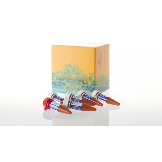 PowerPlex Matrix Standards