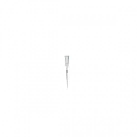 Pipette Tips 20 μl with filter, sterile, in rack,  960/Box