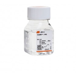 GlutaMAX  Supplement 100 X, 100mL