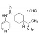 Y-27632 dihydrochloride ,5 MG