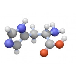 Pen/Strept/Ampho B Soln. (100X) TC Gr. 20ML
