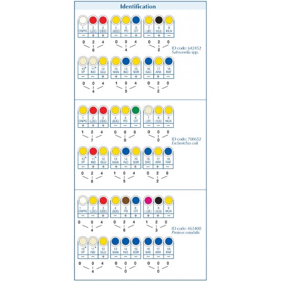 Enterosystem 18R (20 Test)