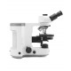 B-810 Series Laboratory Microscopy