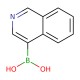 Isoquinolin-4-ylboronic acid, 25 G