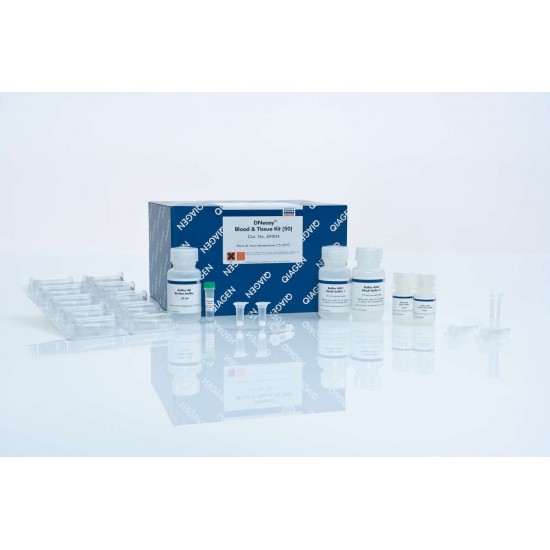 DNeasy Blood & Tissue Kits (50)