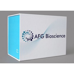 Mouse hepatitis B virus surface antigen,HBsAg Elisa Kit