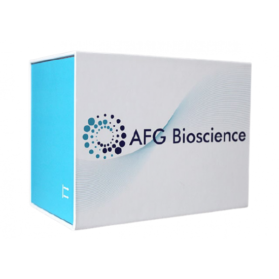 Mouse Hepatitis C virus antibody (IgG) Elisa Kit ,96 well plate