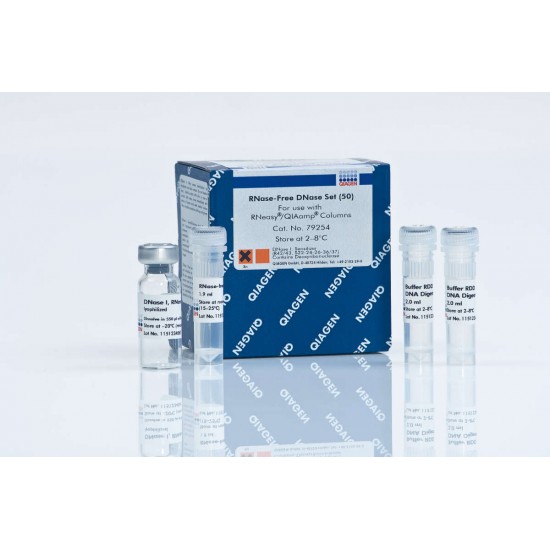 RNase-Free DNase Set, 50 RNase-Free DNase Set, 50