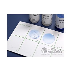 StaphTEX Blue, 200 Tests