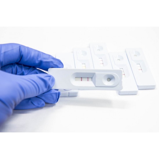 Test-it brucella Igm/IgG lateral flow assay, 25 T Test-it brucella Igm/IgG lateral flow assay, 25 T