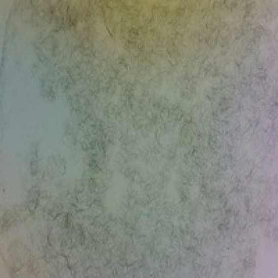 Silver Nanowires 30nm OD, 1 G Silver Nanowires 30nm OD, 1 G