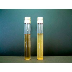 Tryptic Soy Broth (TSB) 500 G