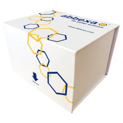 Human T-Lymphotropic Virus 1+2 Antibody (Anti-HTLV-1/2) ELISA Kit, 96 T