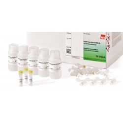 ROTI Prep Plasmid MINI-XL, 50 preparations