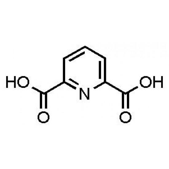 Pyridine-2,6-dicarboxylic acid, 98%, 25 G